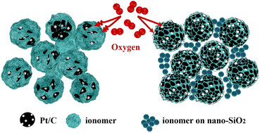 Graphical abstract: Tailoring the Pt/ionomer interface for enhancing the local oxygen transport in proton exchange membrane fuel cells