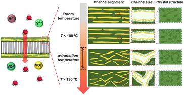 Graphical abstract: High-performance ultrathin perfluorinated sulfonic acid membranes with thermo-morphology control for a vanadium redox flow battery