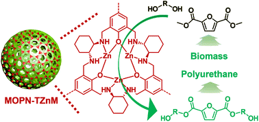 Graphical abstract: Microporous organic nanoparticles bearing tri-Zn macrocycles: heterogeneous catalysts for the conversion of biomass-derived furan esters to polymer platforms