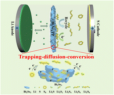 Graphical abstract: Topological insulator bismuth selenide with a unique cloud-like hollow structure as a bidirectional electrocatalyst for robust lithium–sulfur batteries