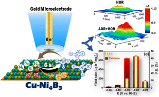 Graphical abstract: Operando scanning electrochemical microscopic investigation and visualization of NRR-HER competition in electrochemical NH3 synthesis