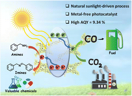 Graphical abstract: Coalescing solar-to-chemical and carbon circular economy: mediated by metal-free porphyrin and triazine-based porous organic polymer under natural sunlight