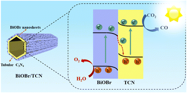 Graphical abstract: Construction of a hierarchical BiOBr/C3N4 S-scheme heterojunction for selective photocatalytic CO2 reduction towards CO