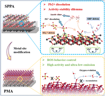 Graphical abstract: Contradictory role of reactive oxygen species in dissolution-dependent activity of Pb-based anodes in acidic electrooxidation