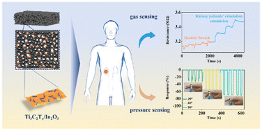 Graphical abstract: A dual-mode foam sensor employing Ti3C2Tx/In2O3 composites for NH3 detection with memory function and body movement monitoring for kidney disease diagnosis