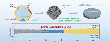 Graphical abstract: Atomic Sn sites on nitrogen-doped carbon as a zincophilic and hydrophobic protection layer for stable Zn anodes