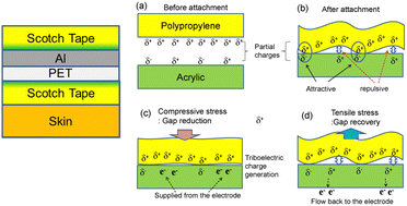 Graphical abstract: Self-powered triboelectric wearable biosensor using Scotch tape