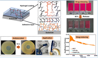 Graphical abstract: An underwater stable and durable gelatin composite hydrogel coating for biomedical applications