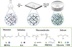 Graphical abstract: Physically cross-linked organo-hydrogels for friction interfaces in joint replacements: design, evaluation and potential clinical applications