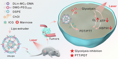 Graphical abstract: Glycolysis inhibition for synergistic phototherapy of triple-negative breast cancer