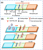 Graphical abstract: Immunological strip sensor for the rapid determination of niacin in dietary supplements and foods