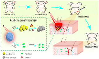 Graphical abstract: Ternary low-temperature phototherapy nano-systems for the treatment of diabetic wounds