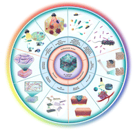 Graphical abstract: 2D nanomaterial-based 3D network hydrogels for anti-infection therapy