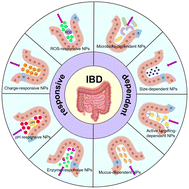 Graphical abstract: Orally-administered nanomedicine systems targeting colon inflammation for the treatment of inflammatory bowel disease: latest advances