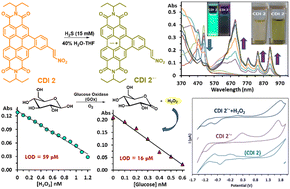 Graphical abstract: A coronene diimide based radical anion for detection of picomolar H2O2: a biochemical assay for detection of picomolar glucose in aqueous medium