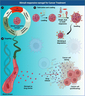 Graphical abstract: Recent advances in stimuli-responsive tailored nanogels for cancer therapy; from bench to personalized treatment