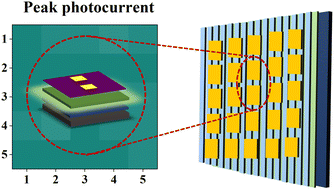 Graphical abstract: Highly uniform photonic synapse arrays based on TIPS-pentacene nanowires/CsPbBr3 heterojunctions