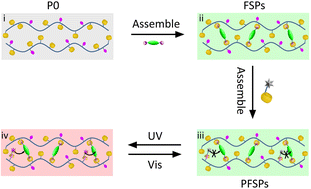 Graphical abstract: Dual host–guest interaction-mediated photoswitchable fluorescent supramolecular polymers for anti-counterfeiting and encryption