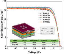 Graphical abstract: Increasing the wettability and reducing excess PbI2 using diamine hydrobromides with different lengths at the buried interface of the 3D perovskite film