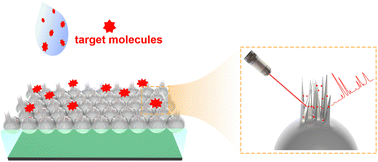 Graphical abstract: A high-density Ag nanoneedle forest array by using a nano-peeling technique for near-infrared SERS detection