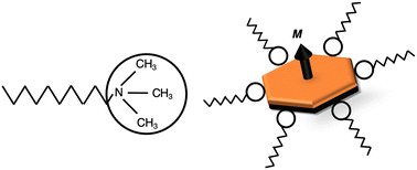 Graphical abstract: Synthesis of barium hexaferrite nano-platelets for ethylene glycol ferrofluids