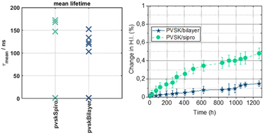 Graphical abstract: An Fe3O4 based hole transport bilayer for efficient and stable perovskite solar cells