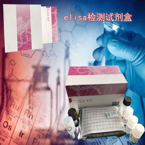 人肿瘤标志物ELISA检测试剂盒
