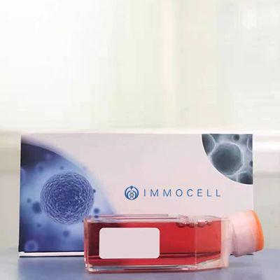 LTPA小鼠胰腺癌细胞（暂不提供）丨逸漠(immocell)