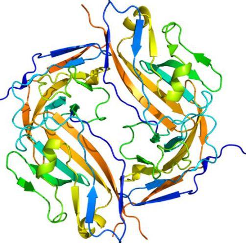 2D-DIGE实验技术服务价格,详情介绍-960化工网 – 960化工网