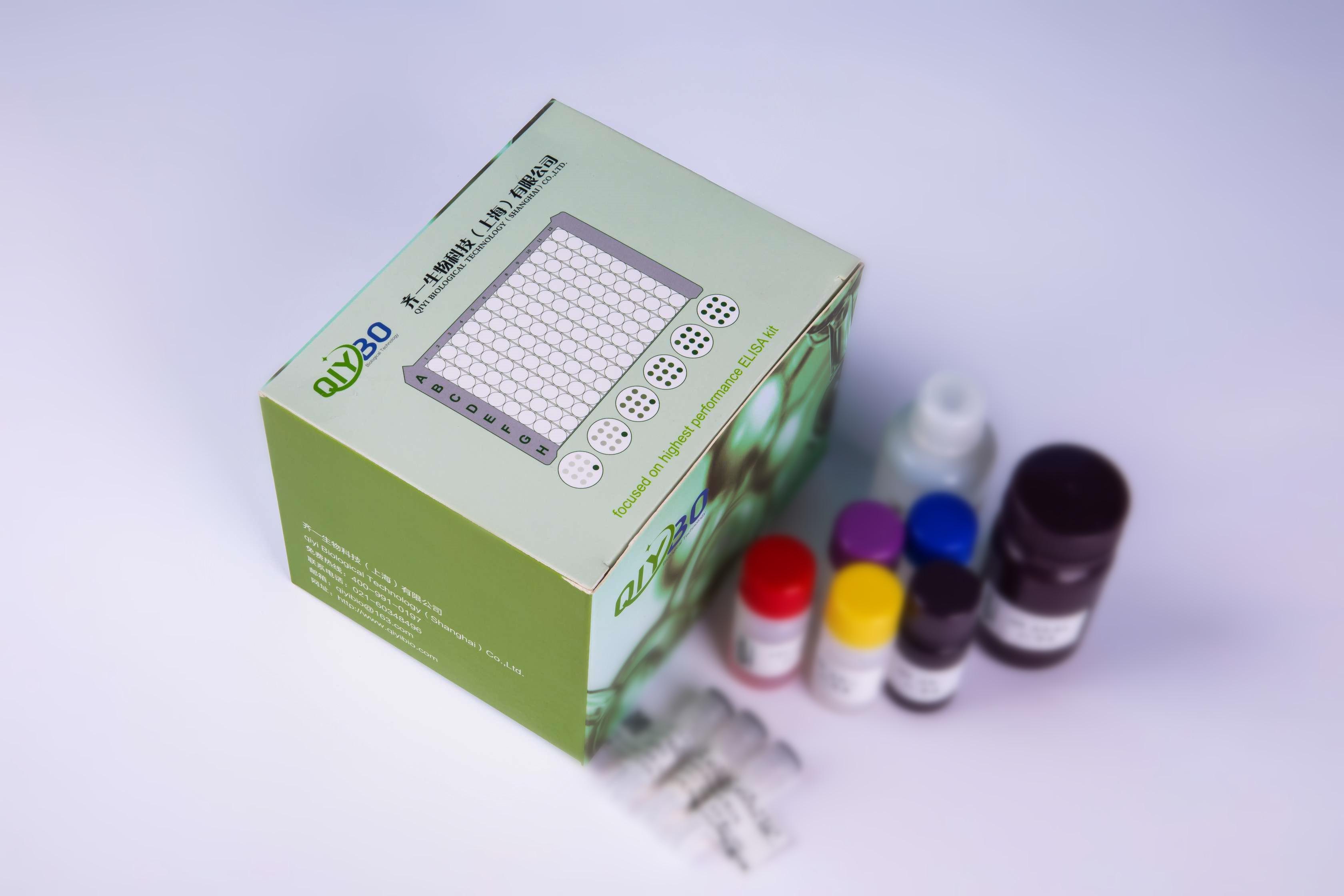 大鼠甲状旁腺激素(PTH)ELISA试剂盒