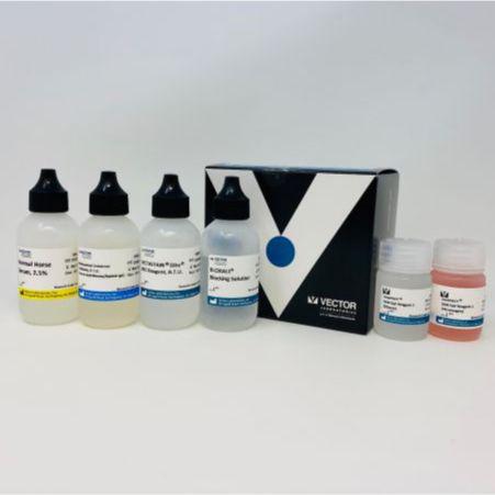 VECTASTAIN Elite ABC Universal PLUS Kit Peroxidase (Horse Anti-Mouse ...