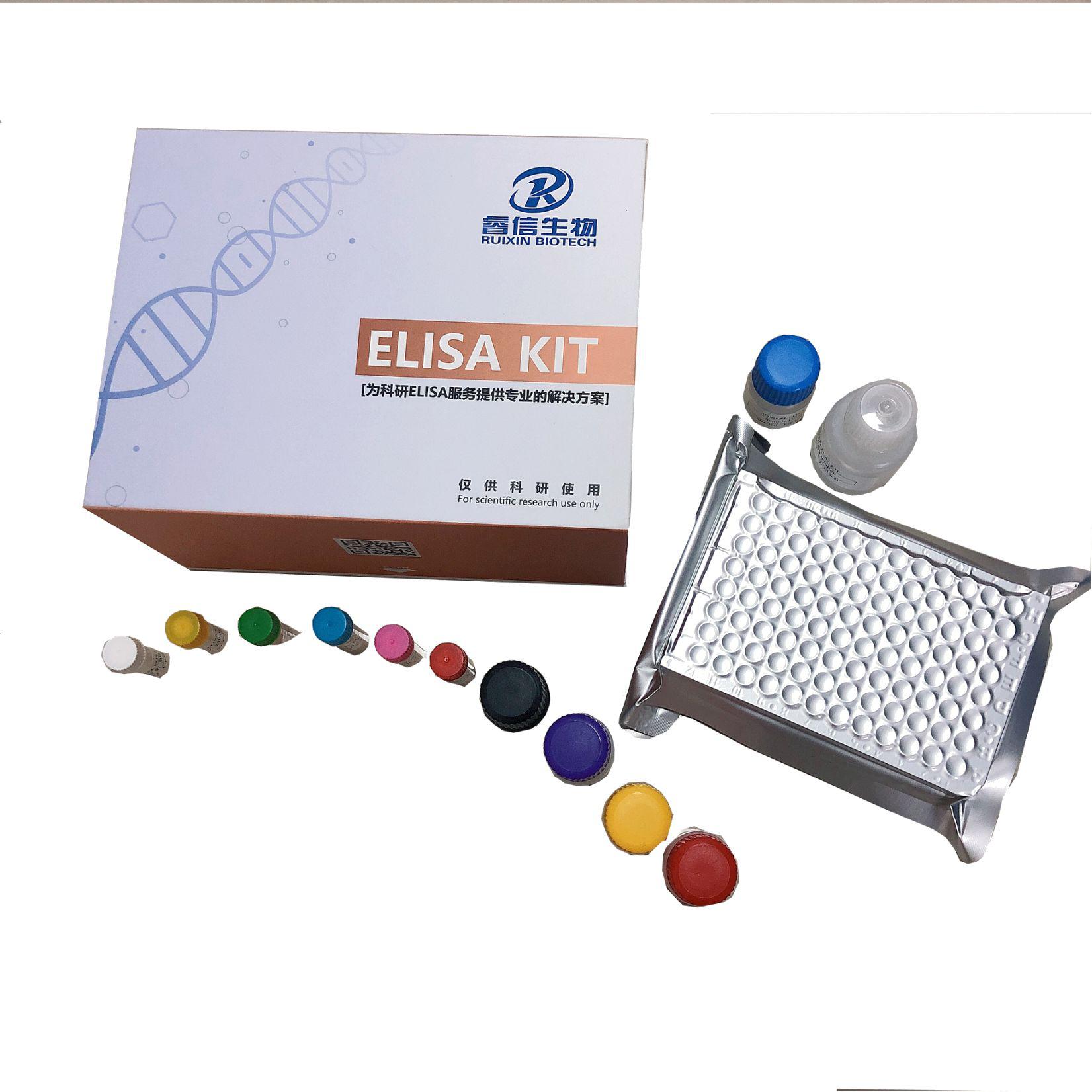 人白细胞酯酶（LE） ELISA试剂盒