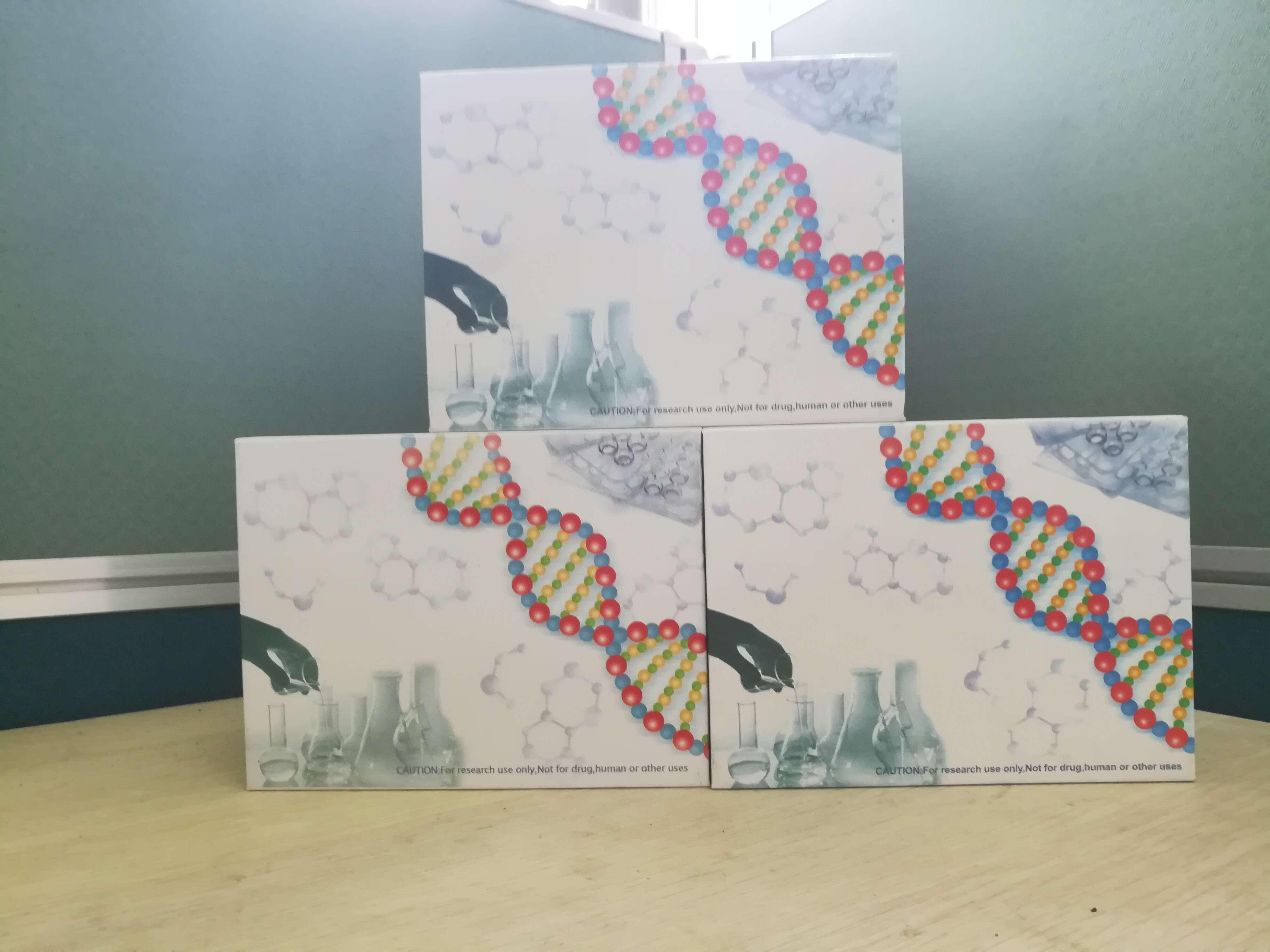 96孔PCR产物纯化试剂盒