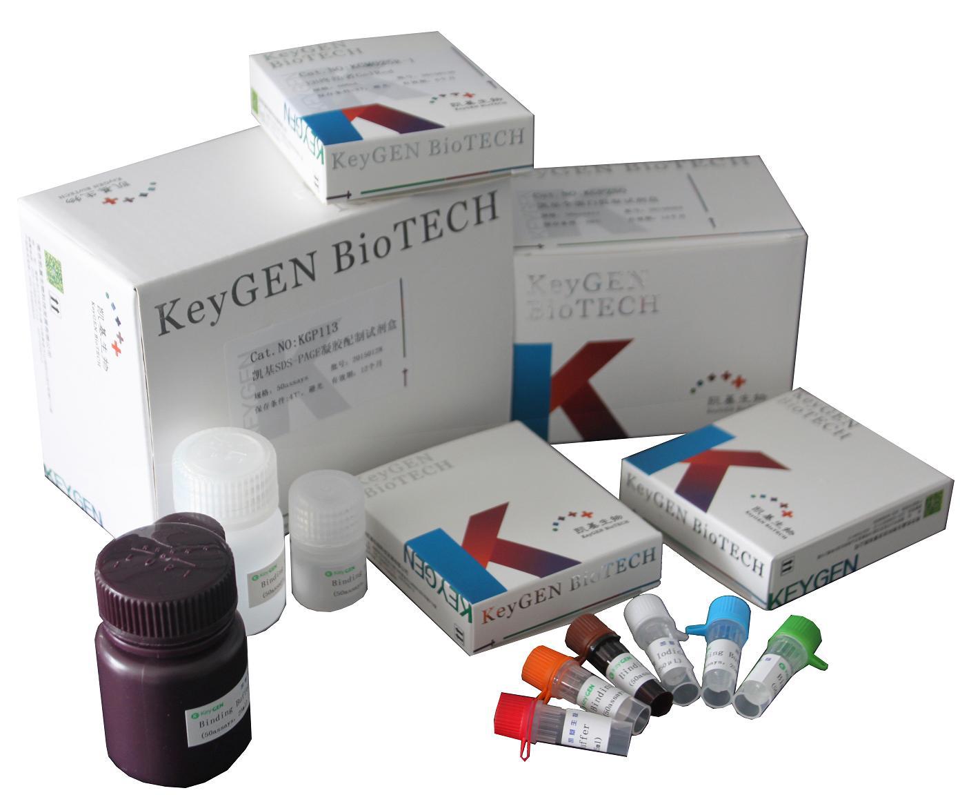 collagen I免疫组化试剂盒（IHC）