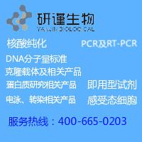 PCR产物纯化回收试剂盒