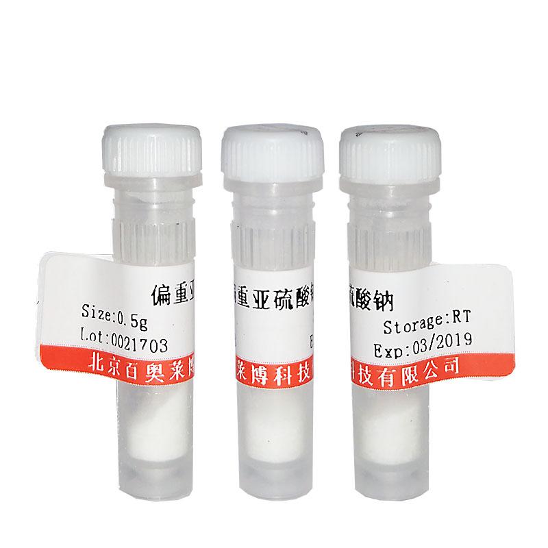 人β-淀粉样多肽 1-42销售