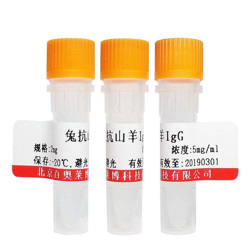 北京N ras + c Ha ras抗体说明书价格,详情介绍-960化工网 – 960化工网