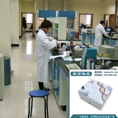 主要组织相容性复合体Ⅱ类 科研检测试剂盒江莱生物品牌 