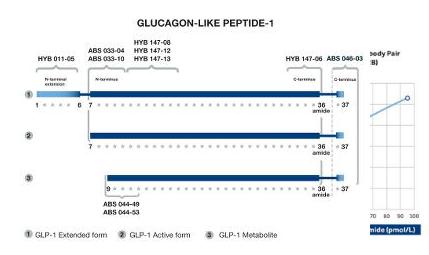 Anti-GLP-1 (Mid-molecule specific)价格,详情介绍-960化工网 – 960化工网