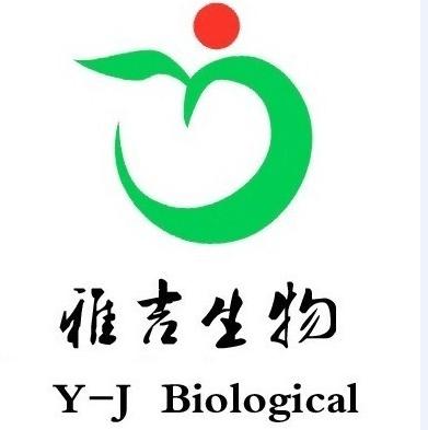 恶性纤维组织细胞瘤免疫荧光抗体