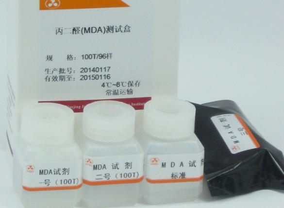 siRNA转染试剂