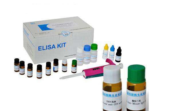 人骨成型蛋白4(BMP-4)ELISA试剂盒