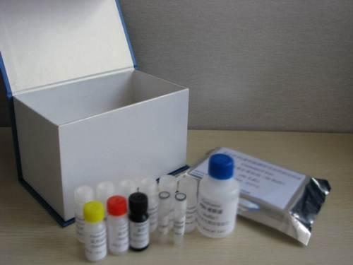 肿瘤标志物Elisa检测试剂盒品牌