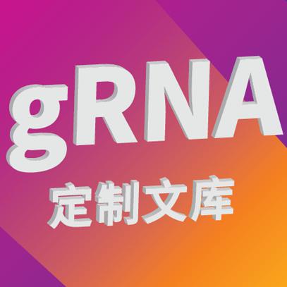 gRNA定制文库服务