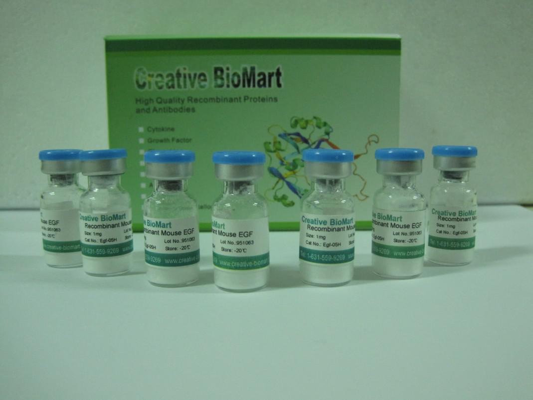 recombinant-human-follicle-stimulating-hormone-beta-polypeptide