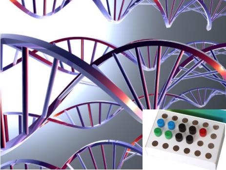 EB病毒核酸荧光定量PCR检测试剂盒(染料法)