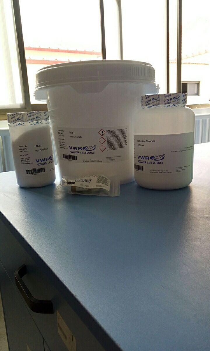 化学发光 WESTERN BLOT试剂盒，抗鼠