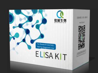 猪甲状旁腺激素(PTH) ELISA 试剂盒