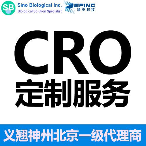 分子生物学CRO技术服务