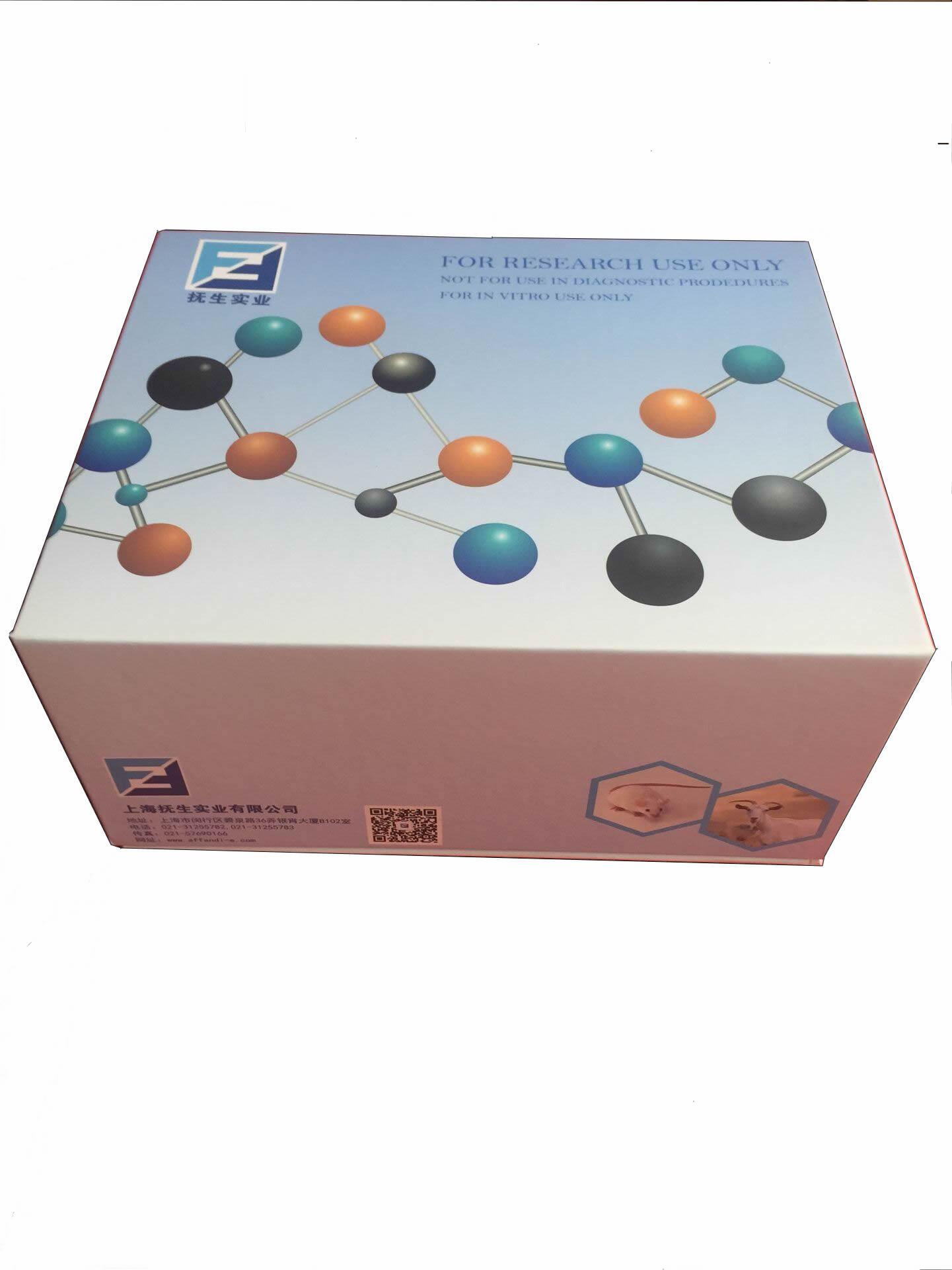 核酸酶检测试剂盒  